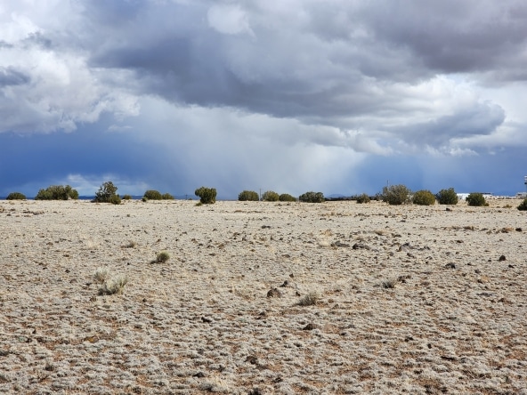 1.04 Acre Land for Sale in Concho Arizona