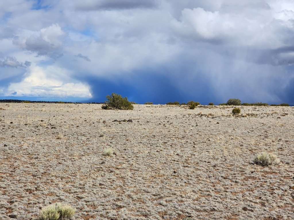 Owner-financed 1.04 acre lot in Concho, Arizona - photo 2