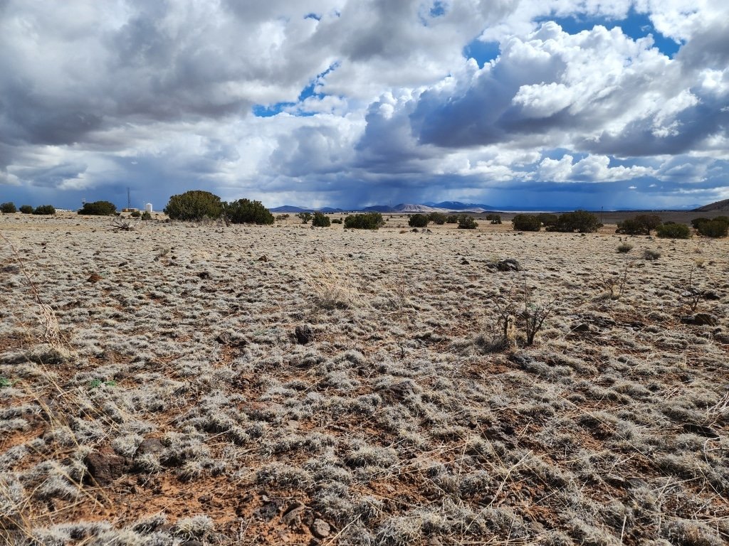 Open land with sandy soil near Concho, Apache County, Arizona - photo 3