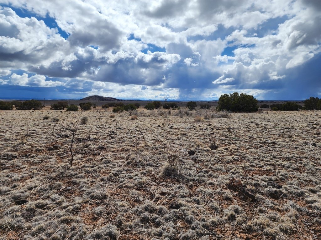 1.04 acre Arizona land listing in Concho area - photo 4