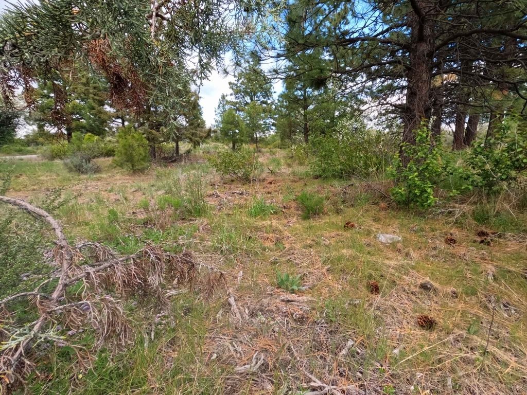 225045 0.26 Acres Cheap land for sale in Oregon – Just $6,000 Cash or Owner Financed!