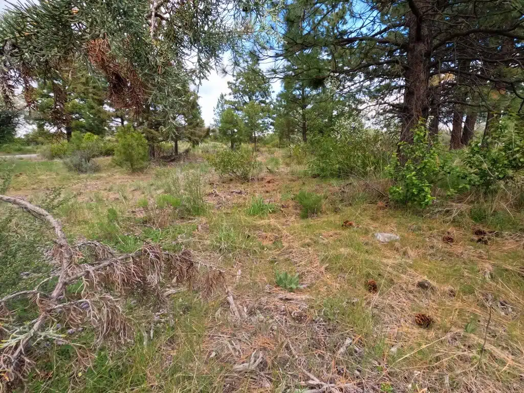 225045 0.26 Acres Cheap land for sale in Oregon – Just $6,000 Cash or Owner Financed!