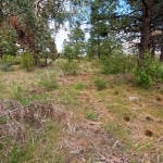 Cheap land for sale in Oregon