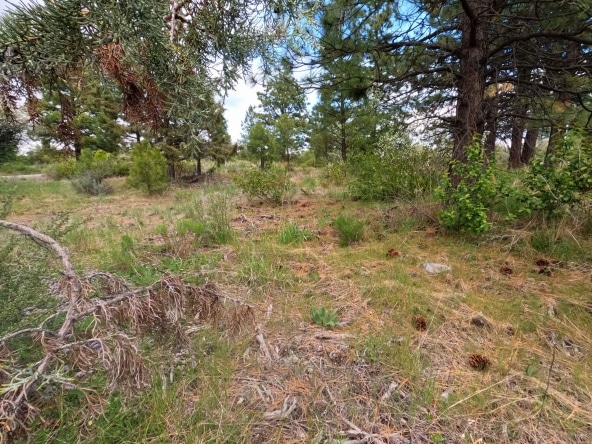 Cheap land for sale in Oregon