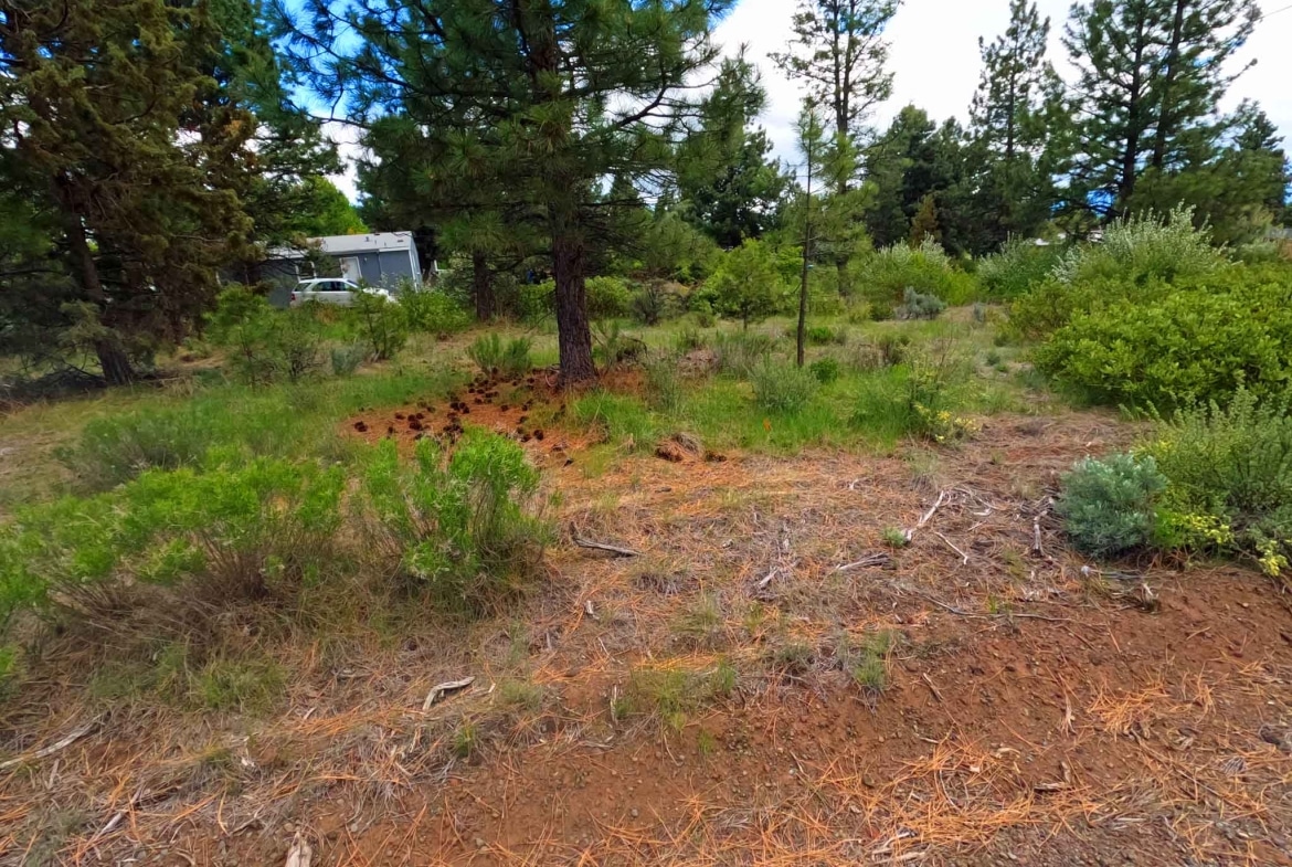 Cheap land for sale in Oregon