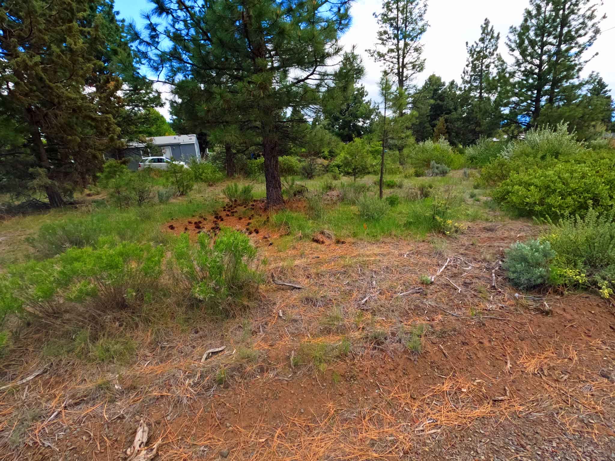 Cheap land for sale in Oregon