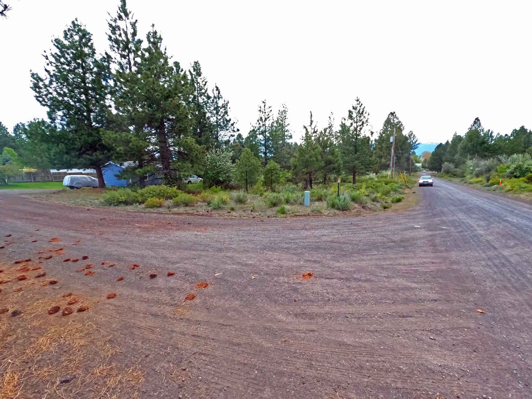 Cheap land for sale in Oregon