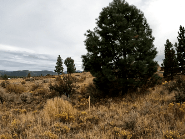0.34 Acres of Land in Chiloquin, Oregon for Sale