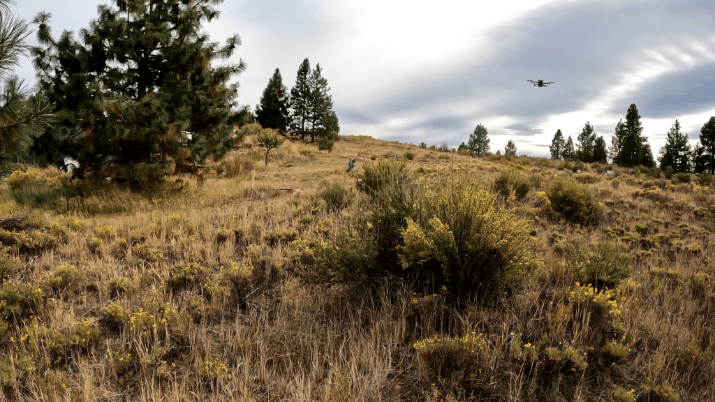 0.34 acre buildable land lot in Chiloquin, Oregon - $12,000 owner financed