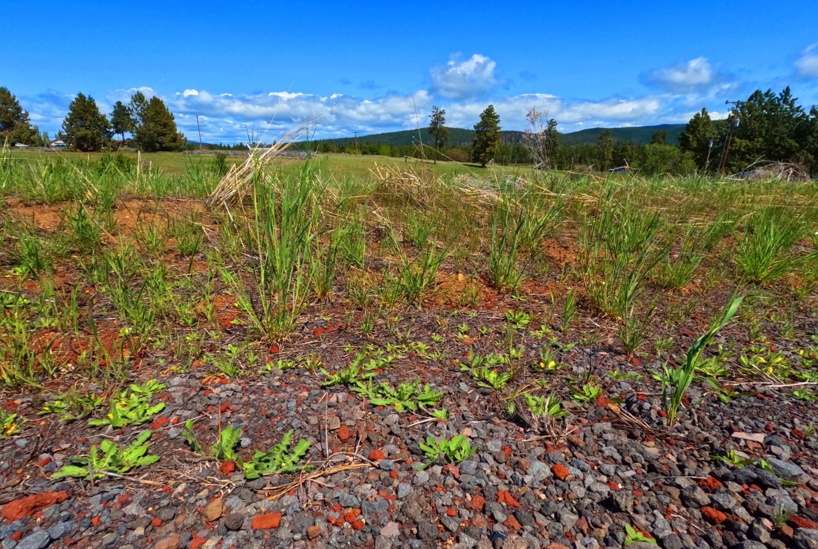 0.5 Acres Land for Sale in Chiloquin Oregon​