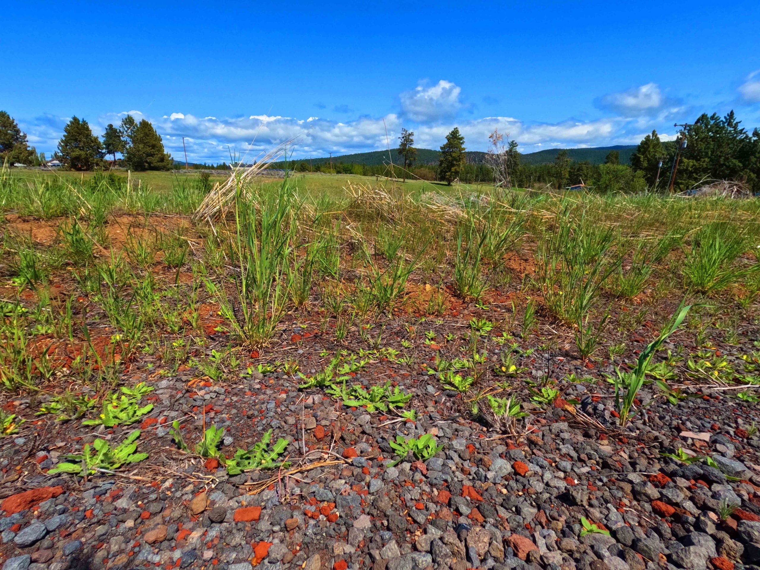 0.5 Acres Land for Sale in Chiloquin Oregon​