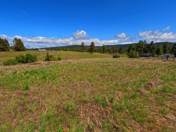 0.5 Acres Land for Sale in Chiloquin Oregon​
