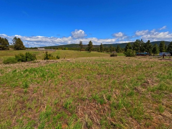 0.5 Acres Land for Sale in Chiloquin Oregon​