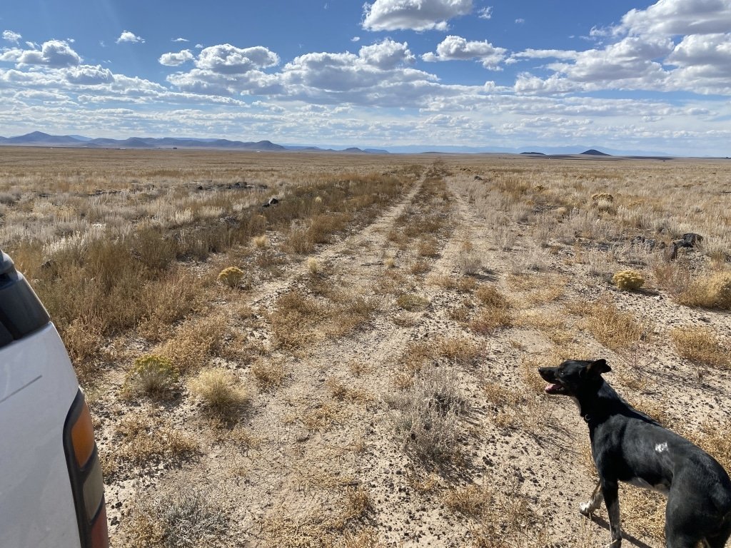 Flat open land for sale in San Luis, Colorado - sandy soil lot - photo 3