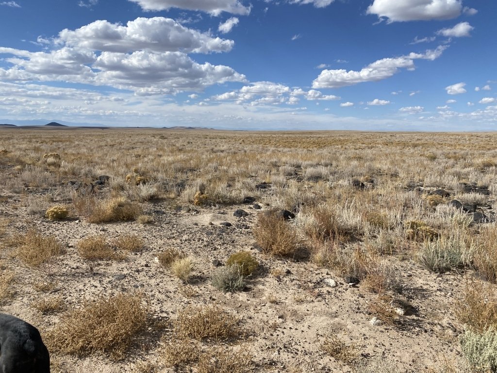 4.915 acre Colorado property listing San Luis area - photo 4