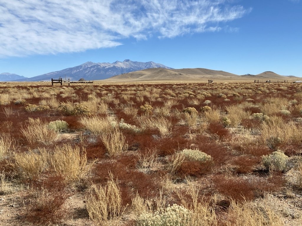Land for Sale in San Luis, Colorado