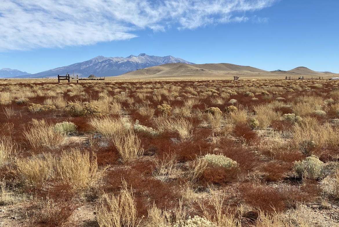 Land for Sale in San Luis, Colorado