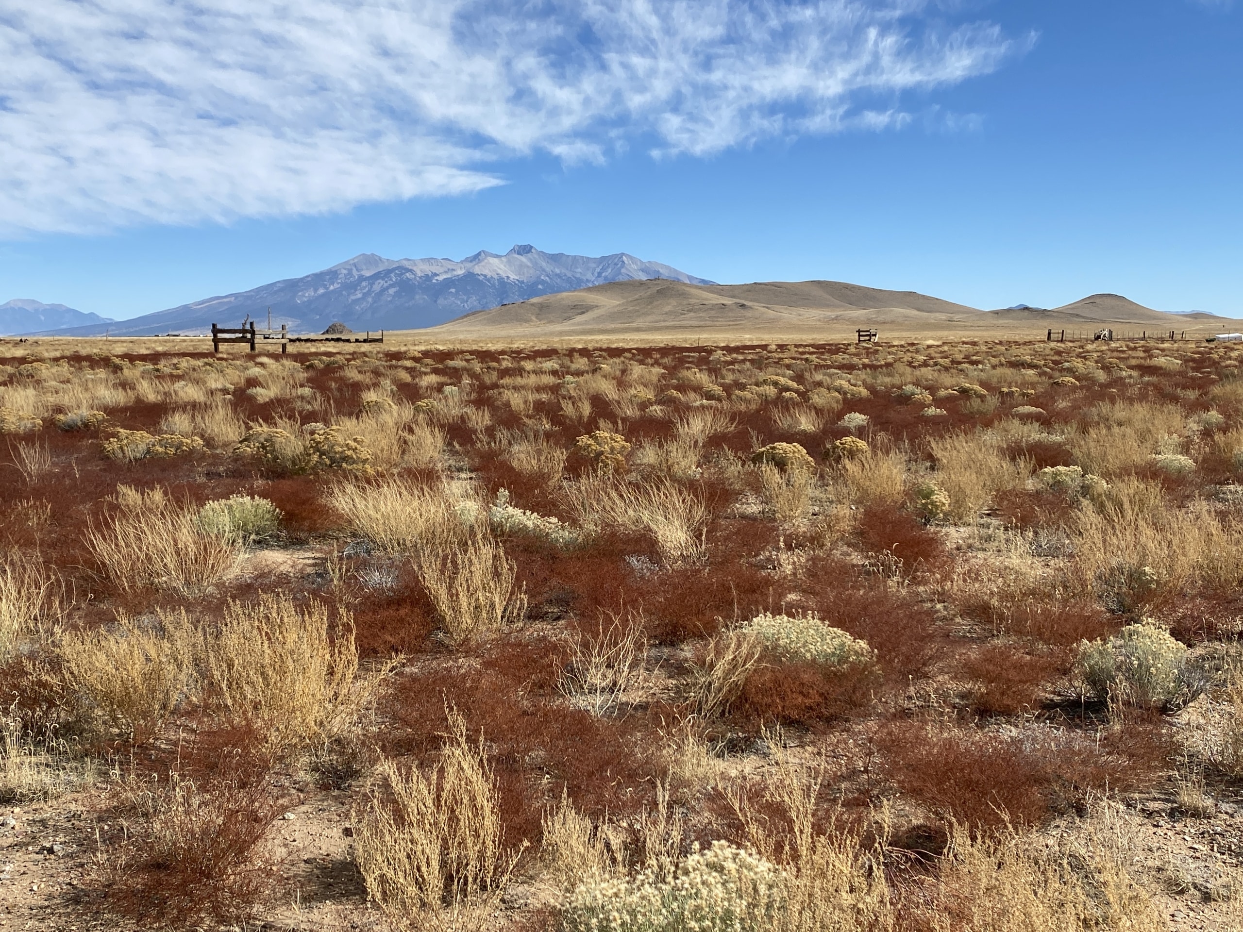 Land for Sale in San Luis, Colorado