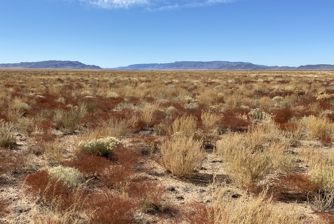 4.89 Acres Land for Sale in San Luis, Colorado
