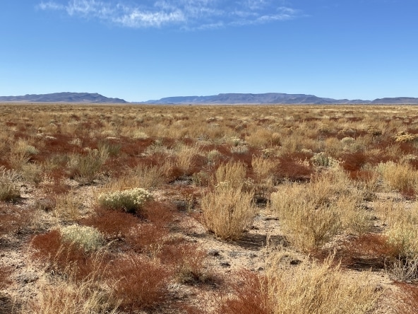 4.89 Acres Land for Sale in San Luis, Colorado