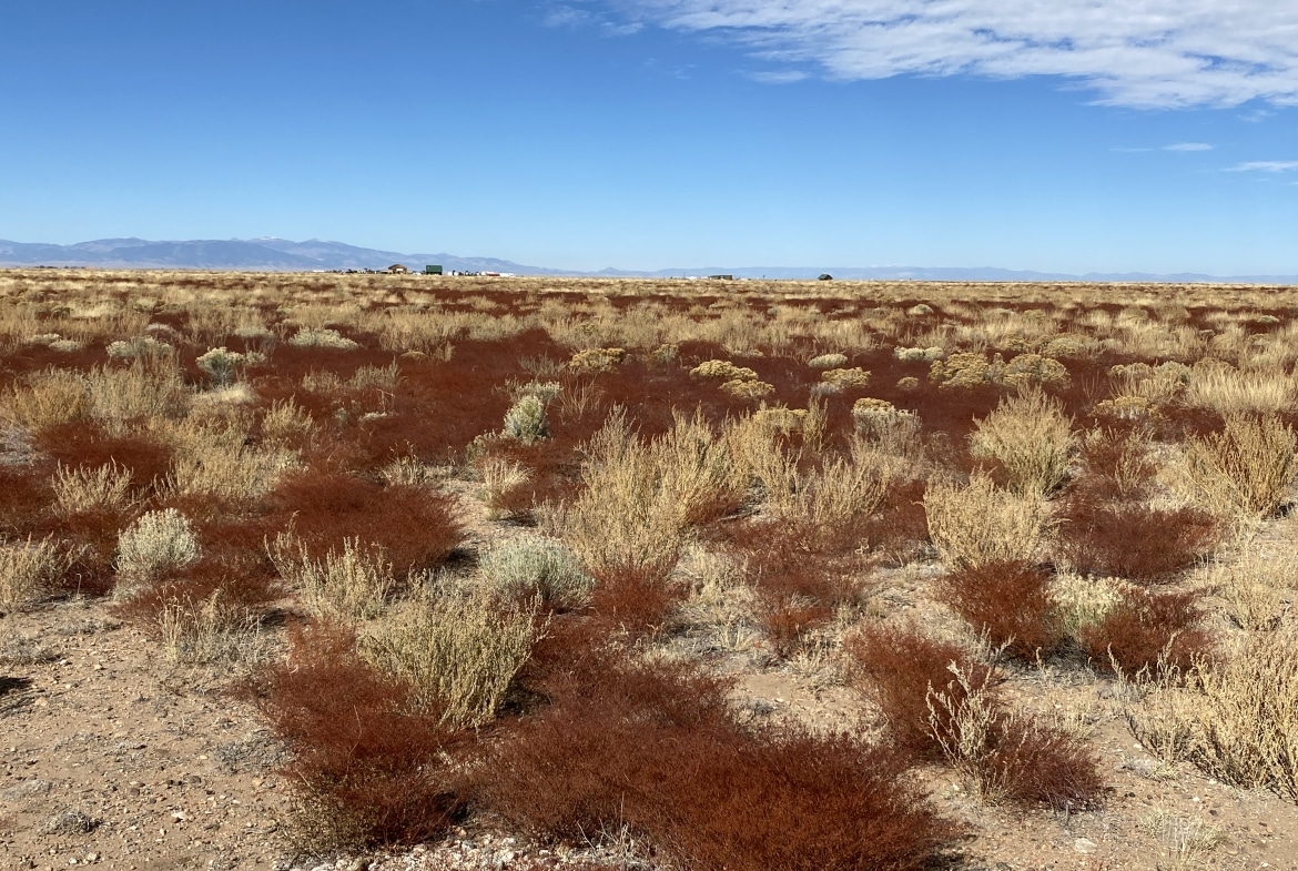 Land for Sale in San Luis, Colorado