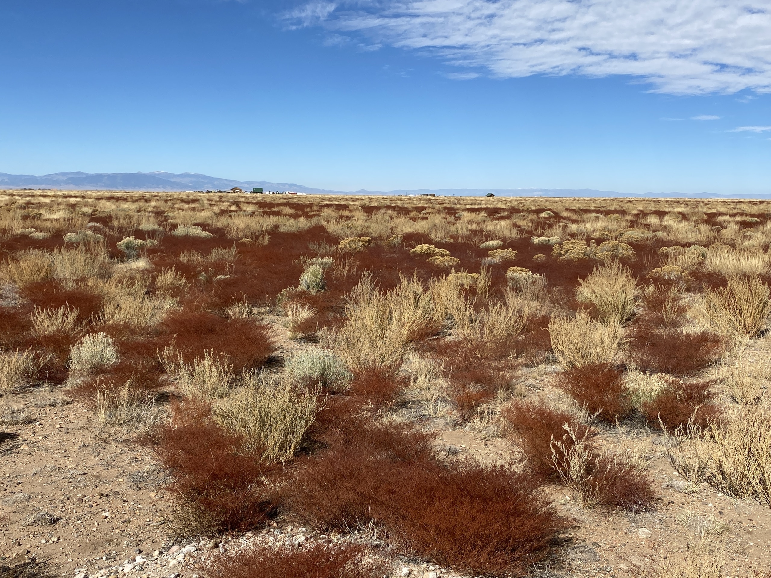 Land for Sale in San Luis, Colorado