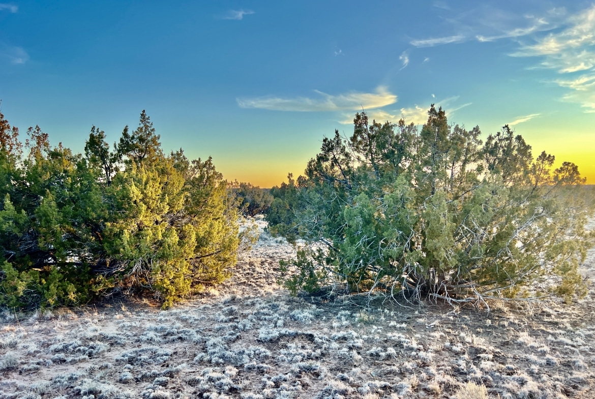 4.69 Acre land for sale in Apache County, Arizona