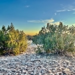 4.69 Acre land for sale in Apache County, Arizona