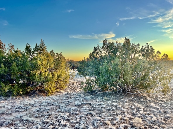 4.69 Acre land for sale in Apache County, Arizona
