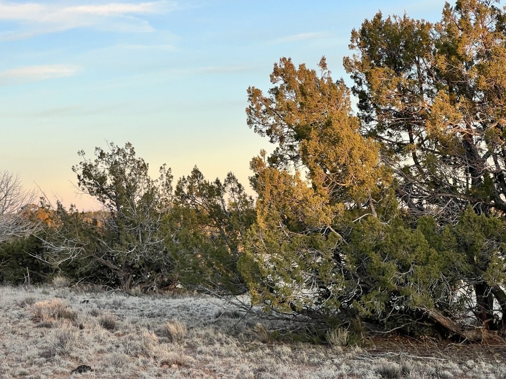 4.69 Acre land for sale in Apache County, Arizona
