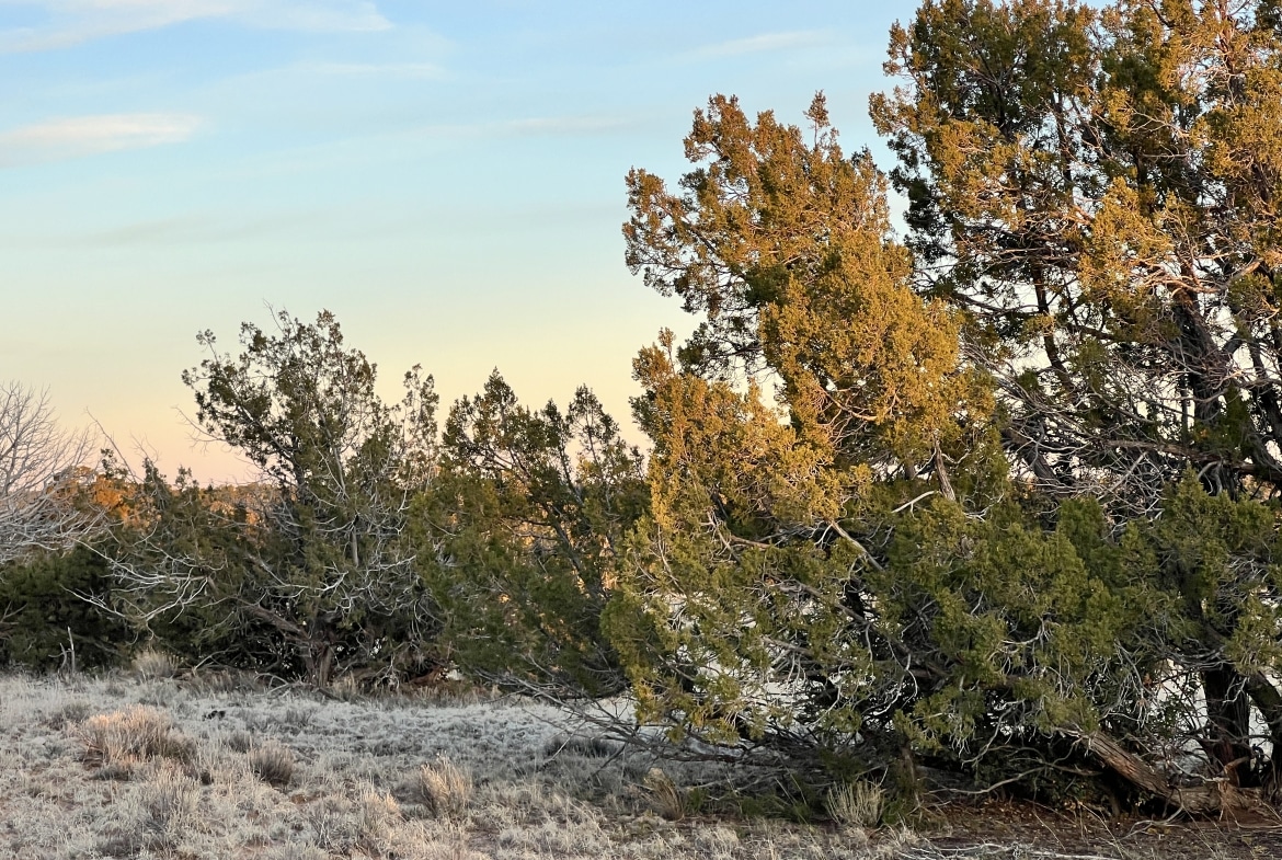 4.69 Acre land for sale in Apache County, Arizona