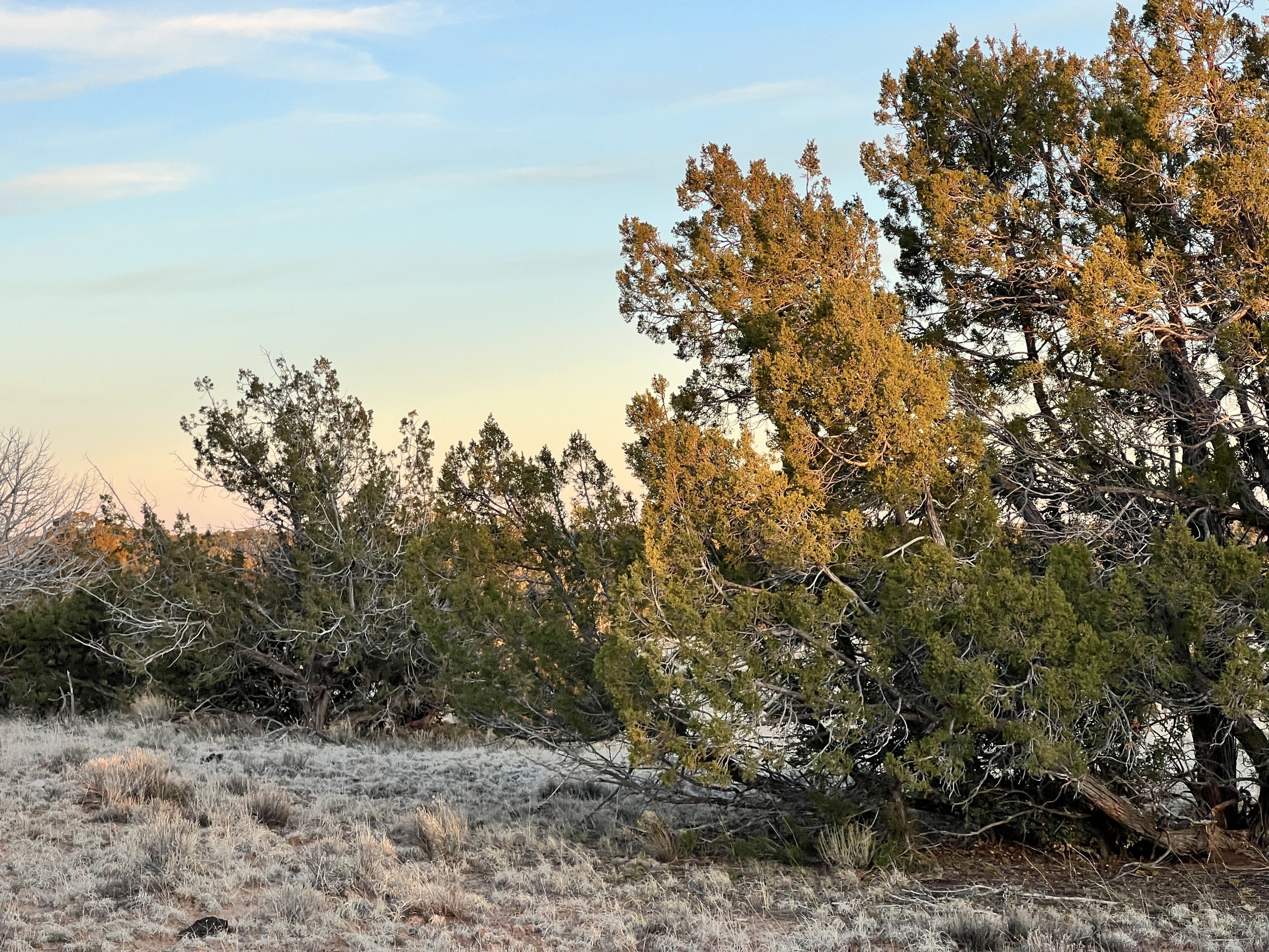 4.69 Acre land for sale in Apache County, Arizona