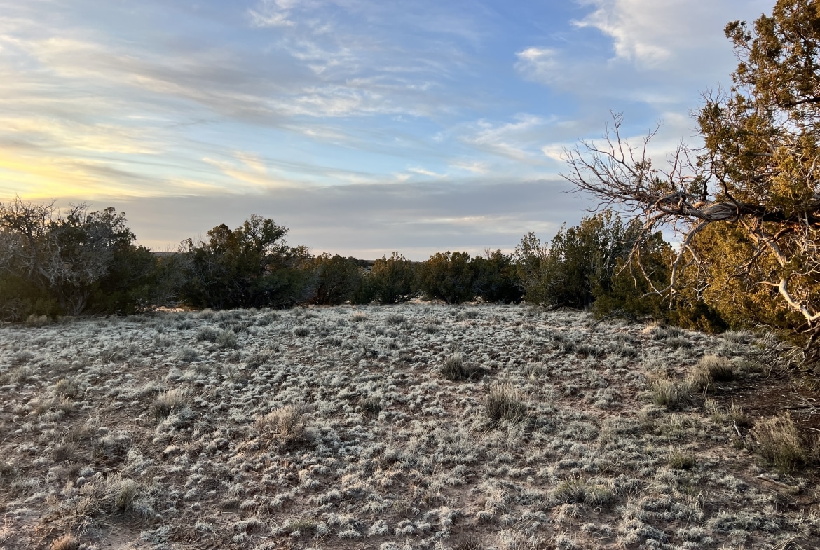 4.69 Acre land for sale in Apache County, Arizona