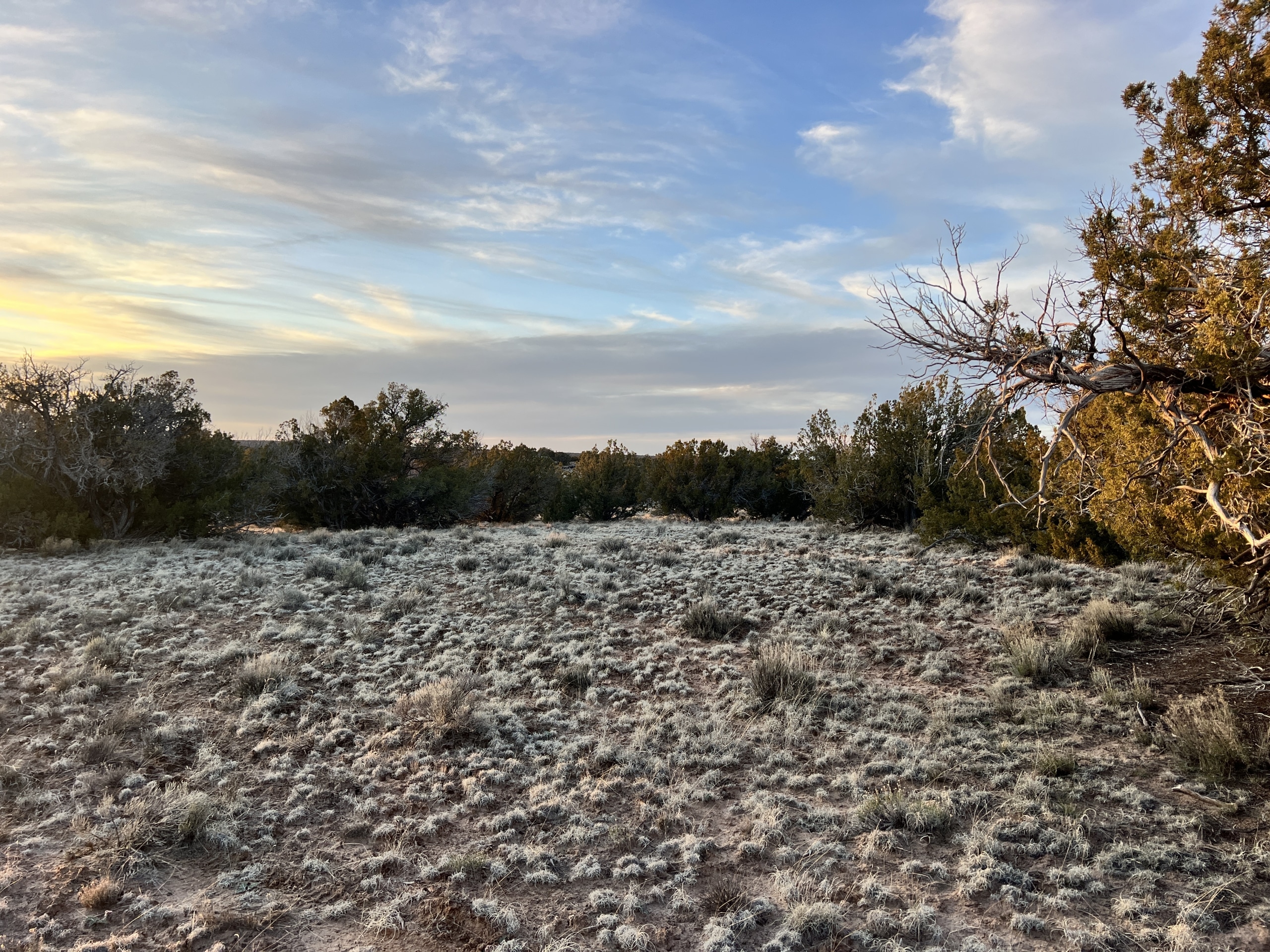 4.69 Acre land for sale in Apache County, Arizona