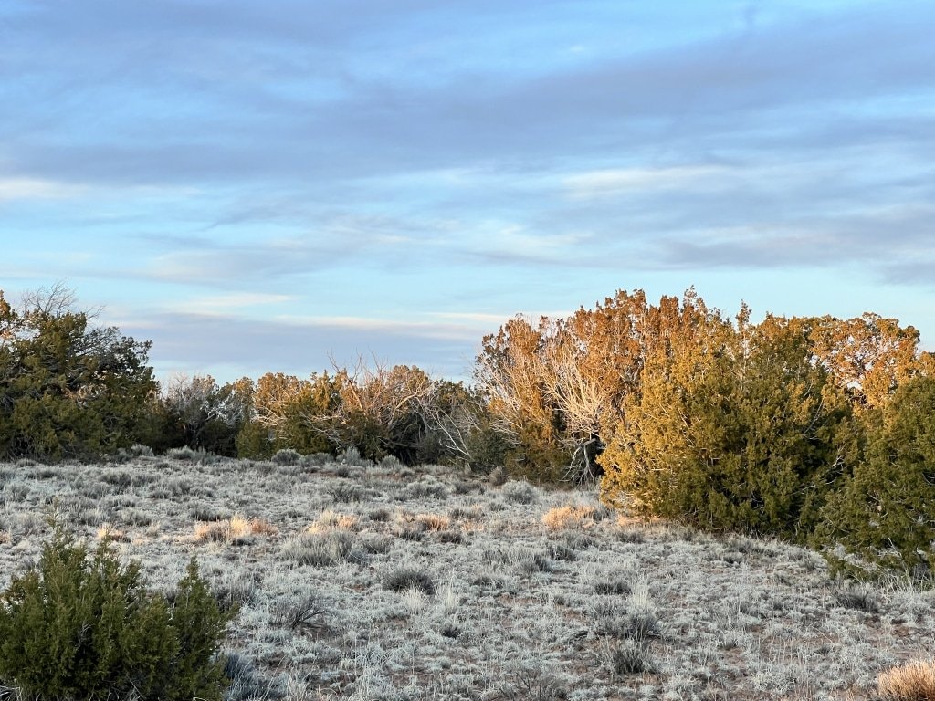 4.69 acre flat land parcel for sale in Apache County, Arizona near Sanders