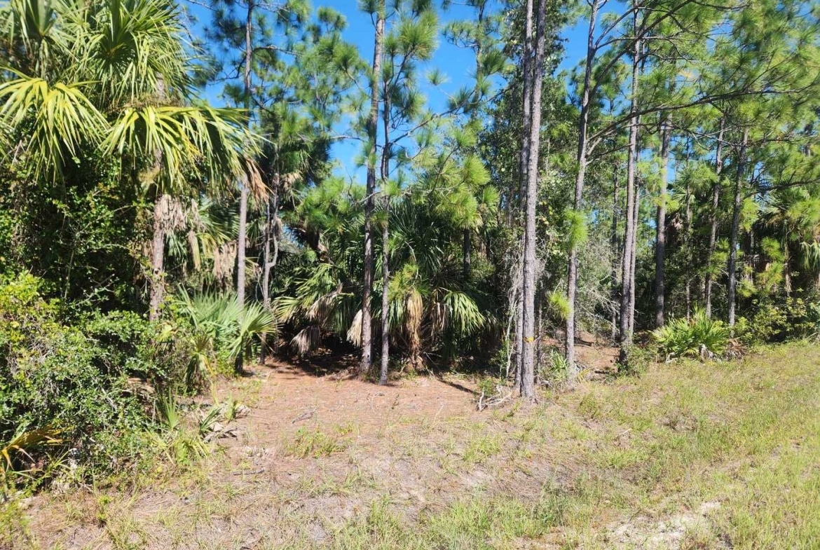 0.22 Acres Land for Sale in Punta Gorda, Florida