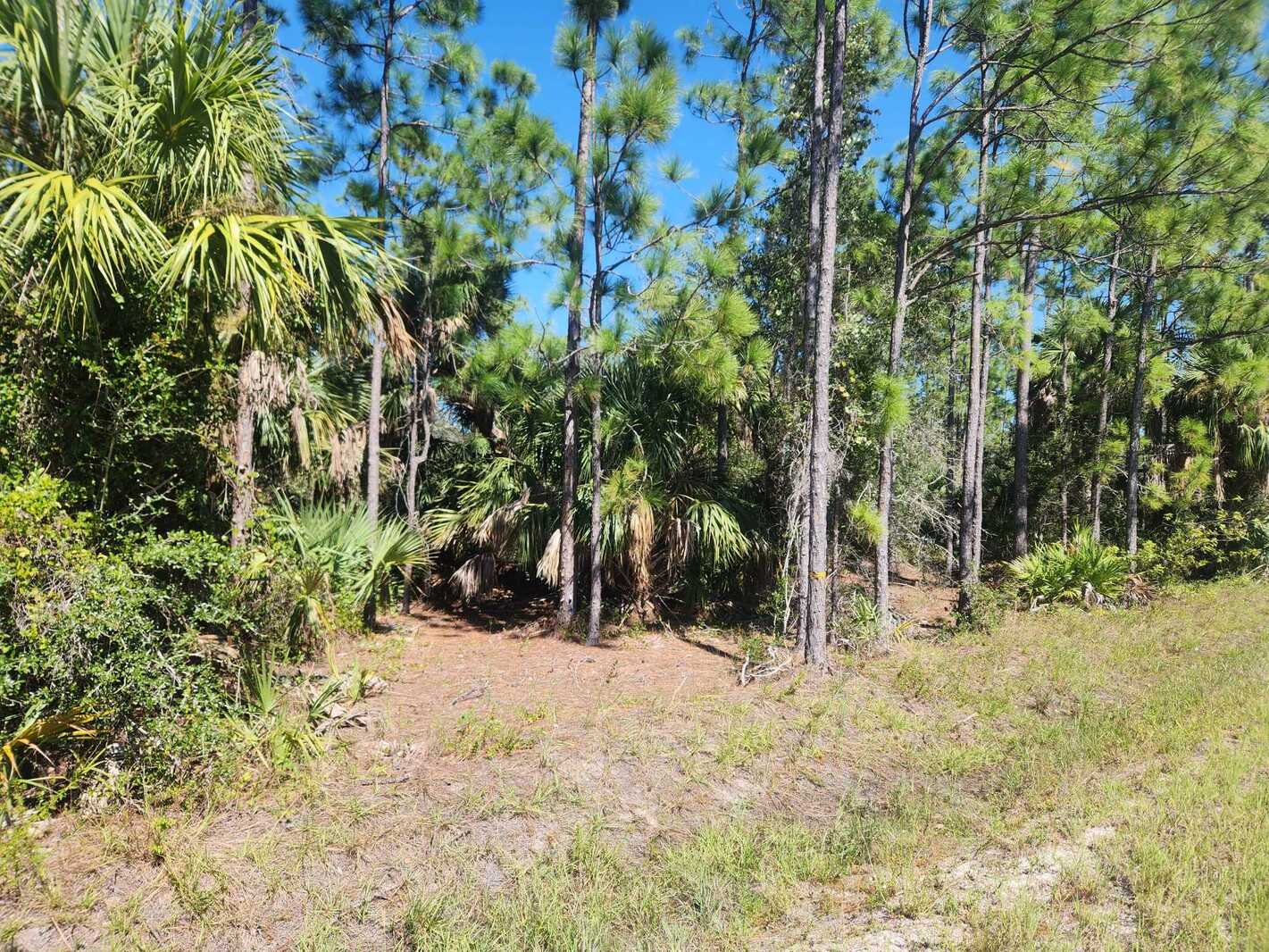 0.22 Acres Land for Sale in Punta Gorda, Florida
