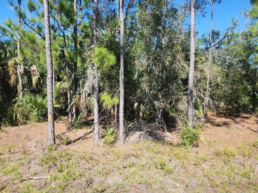 0.22 Acres Land for Sale in Punta Gorda, Florida