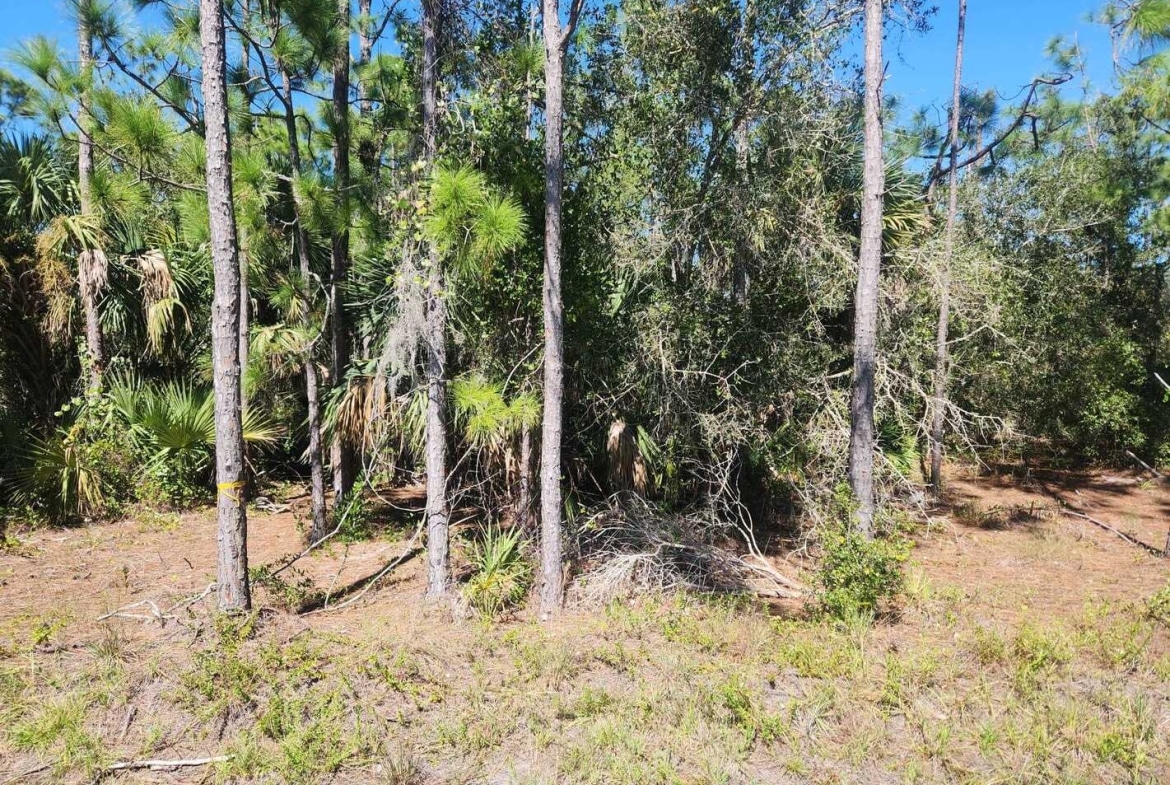 0.22 Acres Land for Sale in Punta Gorda, Florida