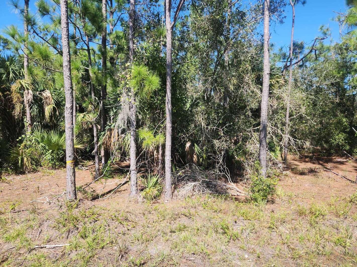 0.22 Acres Land for Sale in Punta Gorda, Florida