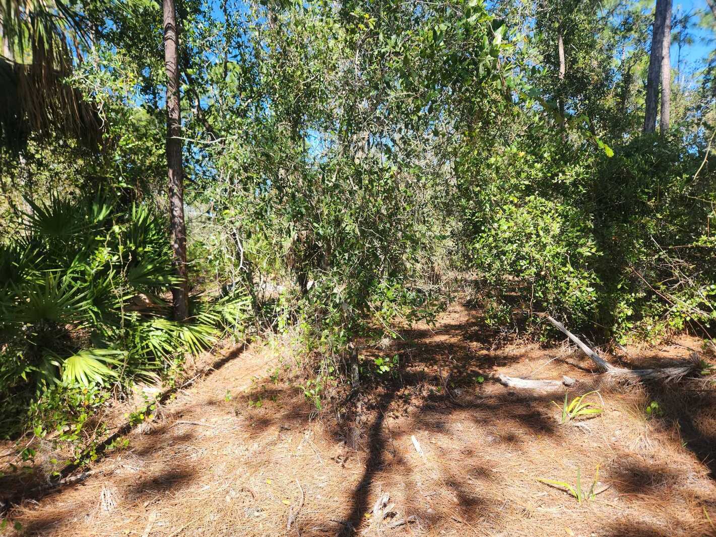 0.22 Acres Land for Sale in Punta Gorda, Florida