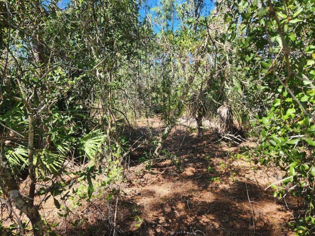 0.22 Acres Land for Sale in Punta Gorda, Florida