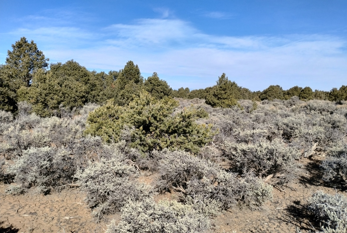 0.21 Acres Land for Sale in Antonito, Colorado
