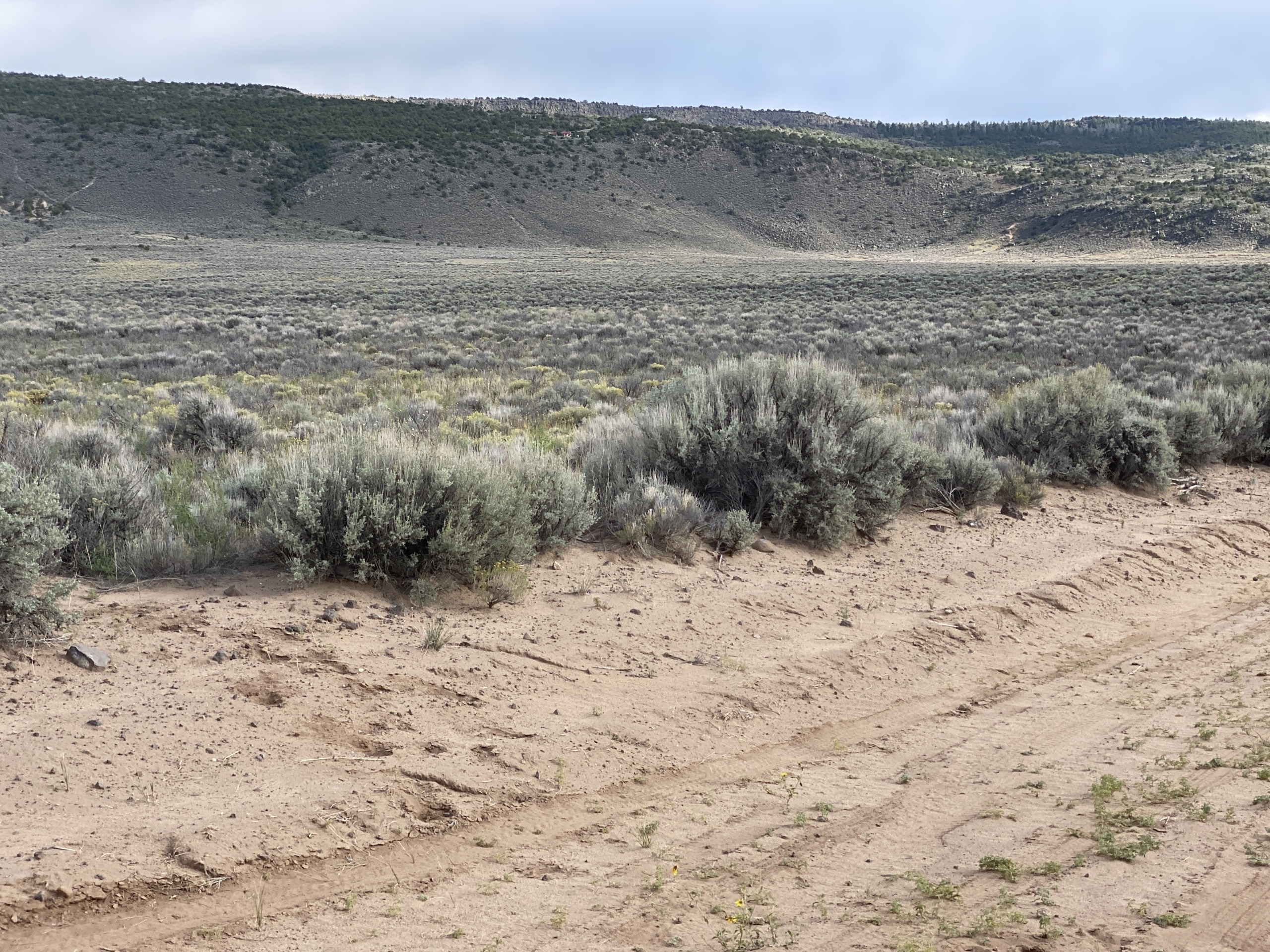 Land for Sale in San Luis, Obispo County, California