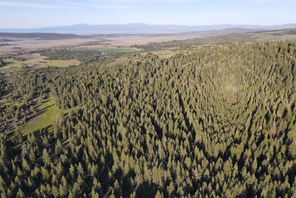 1.41 Acres land for sale in Alturas, CA