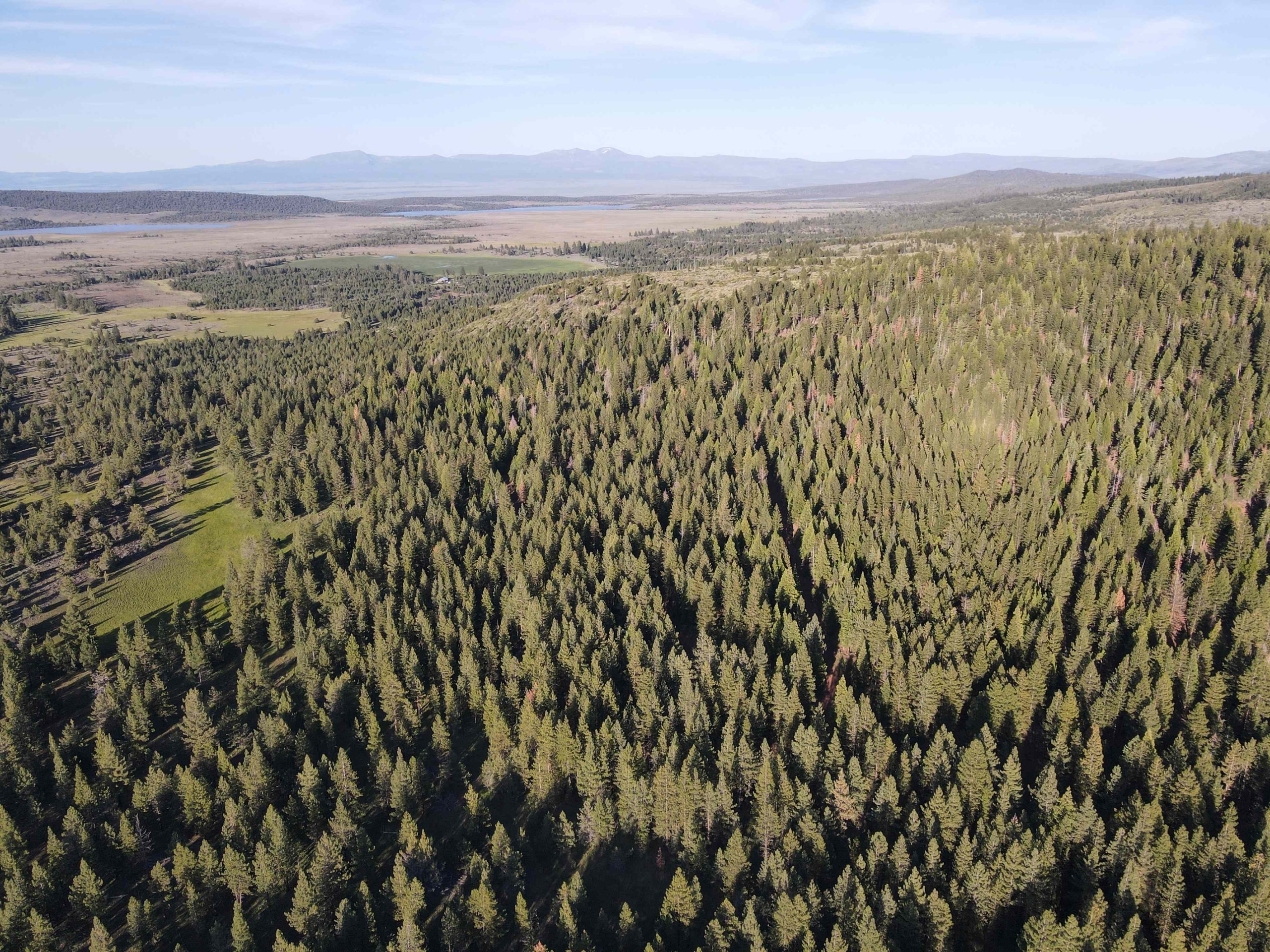 1.41 Acres land for sale in Alturas, CA