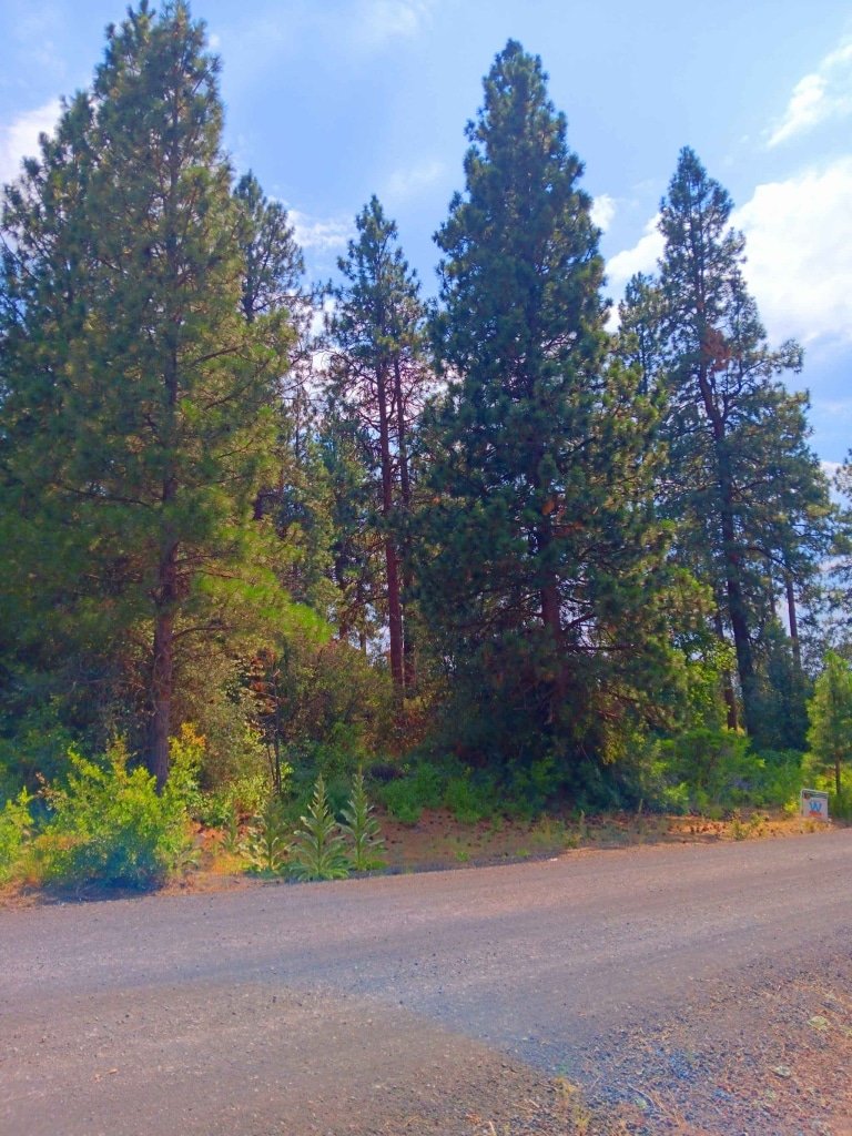 0.26 acre buildable lot in Chiloquin, Oregon - $9,500 owner financed