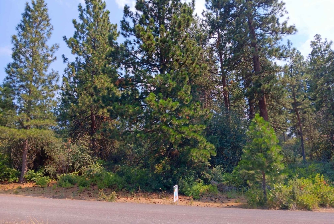 0.26 Acres Land for Sale in Chiloquin Oregon