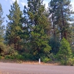 0.26 Acres Land for Sale in Chiloquin Oregon