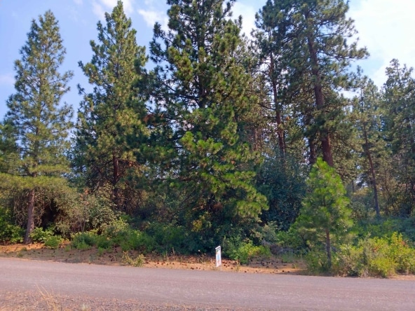 0.26 Acres Land for Sale in Chiloquin Oregon